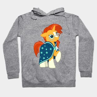 Just Sunburst 4 Hoodie